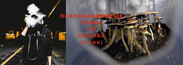 ГАЛЛЮЦИНОГЕННЫЕ ГРИБЫ Абинск