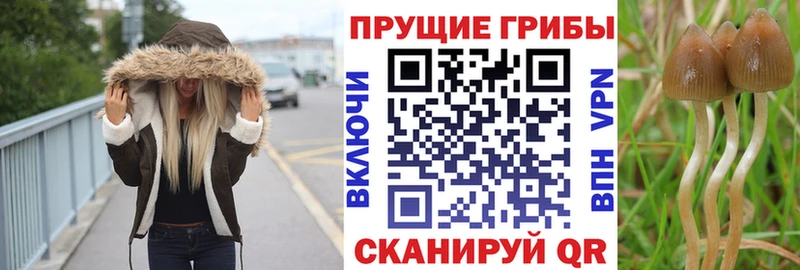 сколько стоит  Лабытнанги  Галлюциногенные грибы MAGIC MUSHROOMS 